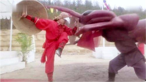 铁鸡斗蜈蚣在线观看,激战正酣，在线观看精彩瞬间